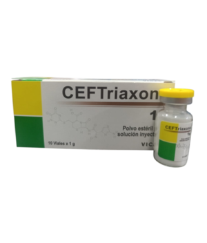 ceftriaxona amp vicar