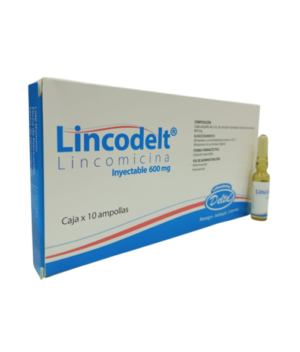 lincodelt lincomicina amp